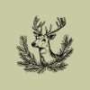 Hand-drawn pine branch Christmas rubber stamp design on light sage background.