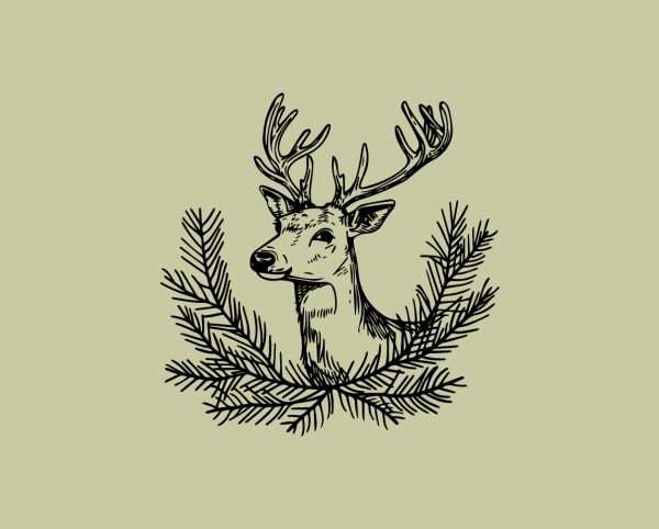 Hand-drawn pine branch Christmas rubber stamp design on light sage background.