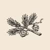 Pine branch with cones Christmas rubber stamp design on beige background.